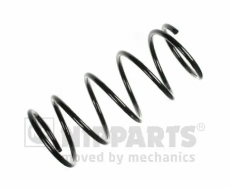 Suspension Spring (N5545020)