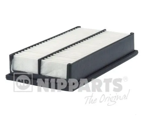 Air Filter (N1323062)