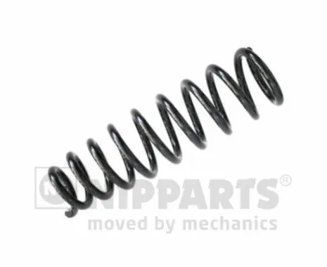 Suspension Spring (N5543110)