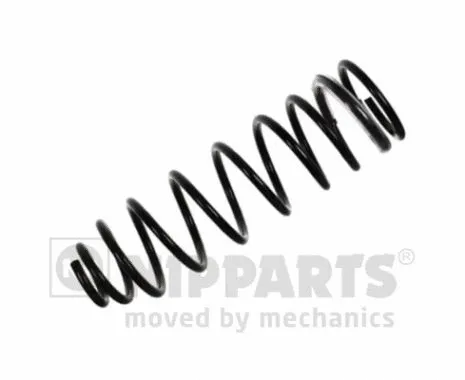 Suspension Spring (N5555046)