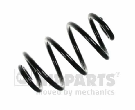 Suspension Spring (N5551068)