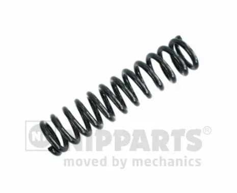 Suspension Spring (N5544116)