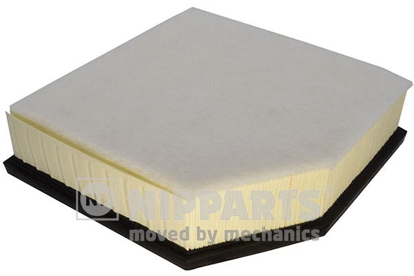 Air Filter (N1322130)