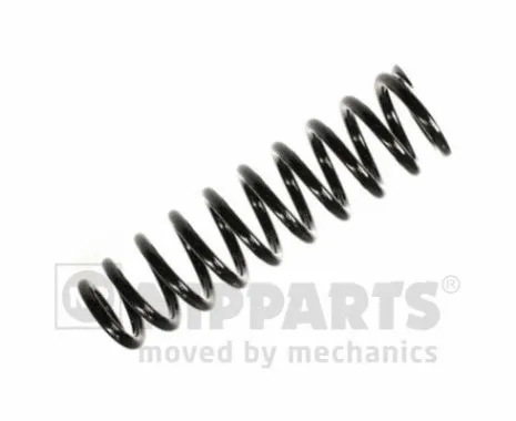 Suspension Spring (N5544002)