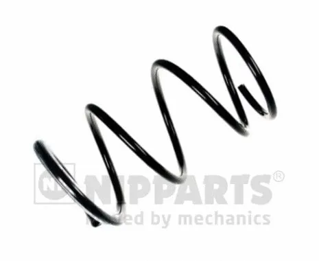 Suspension Spring (N5541134)