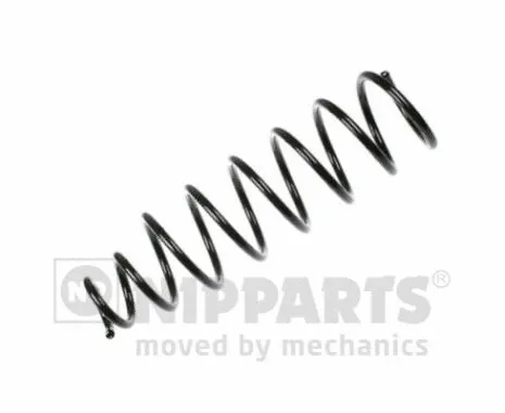 Suspension Spring (N5555006)