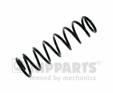 Suspension Spring (N5548054)