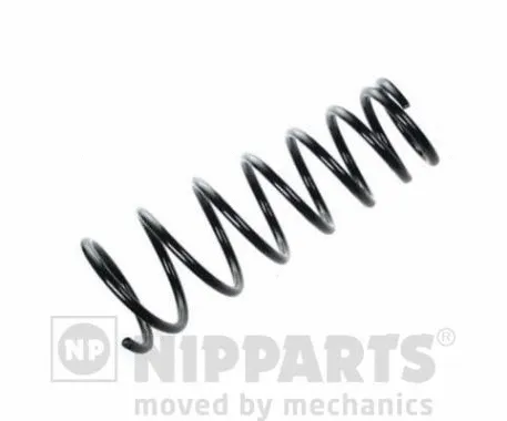 Suspension Spring (N5552087)