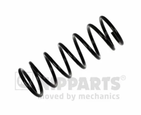 Suspension Spring (N5550524)