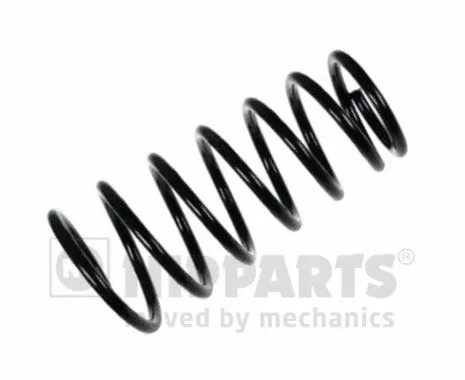 Suspension Spring (N5550508)
