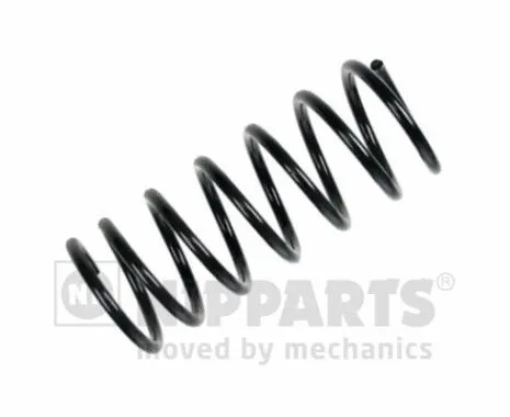 Suspension Spring (N5550526)
