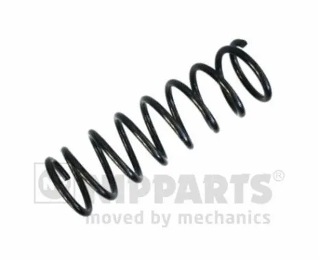 Suspension Spring (N5551019)