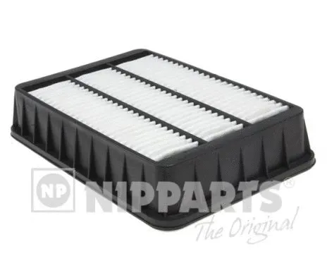 Air Filter (N1325055)