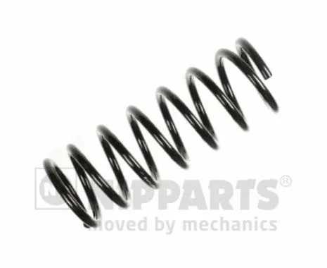 Suspension Spring (N5543038)