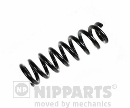 Suspension Spring (N5542226)