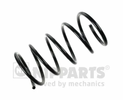 Suspension Spring (N5540544)