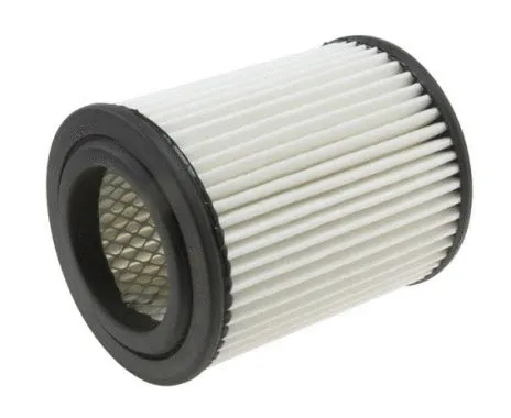 Air Filter (J1324052)