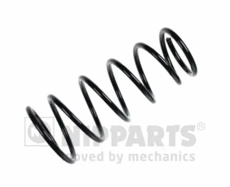 Suspension Spring (N5550307)