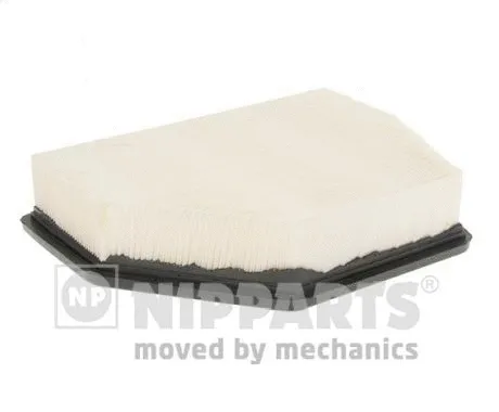 Air Filter (N1320919)