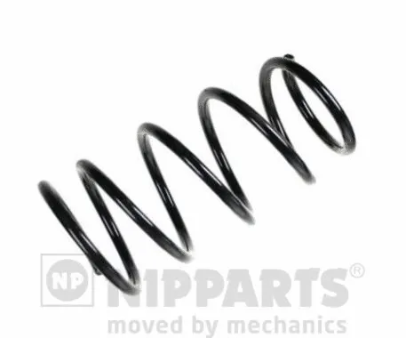 Suspension Spring (N5548014)