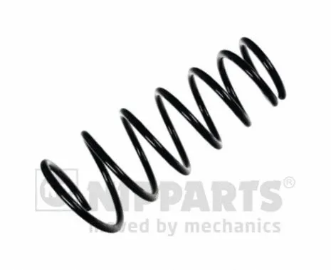 Suspension Spring (N5552058)