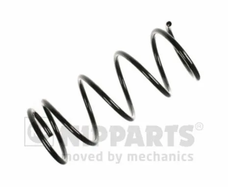 Suspension Spring (N5541008)