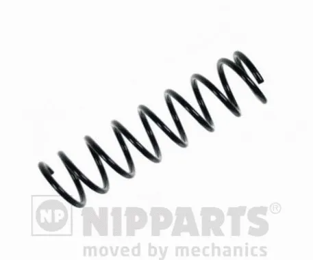 Suspension Spring (N5552060)