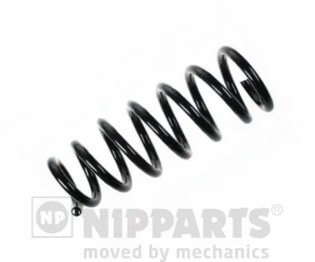 Suspension Spring (N5552117)