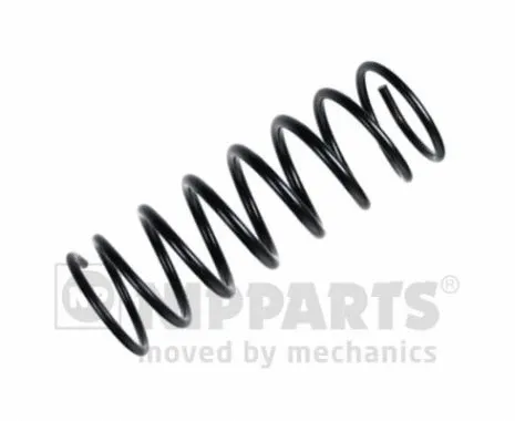 Suspension Spring (N5553008)