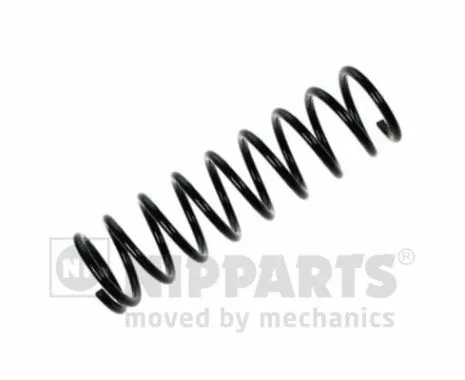 Suspension Spring (N5552059)