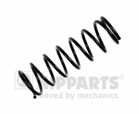Suspension Spring (N5551023)