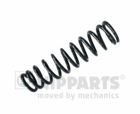 Suspension Spring (N5544104)