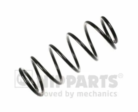 Suspension Spring (N5540902)