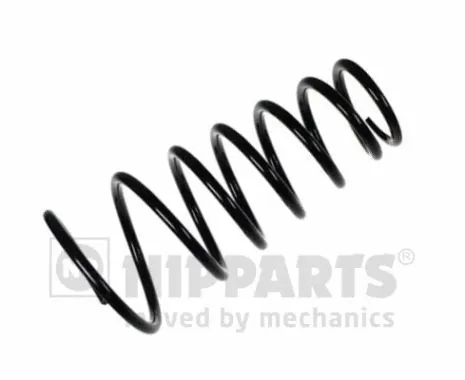 Suspension Spring (N5552041)