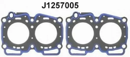 Gasket, cylinder head (J1257005)