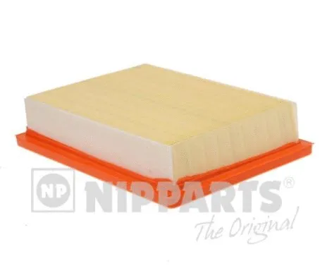 Air Filter (N1320917)