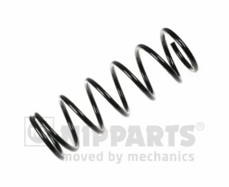 Suspension Spring (N5547034)