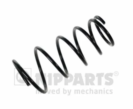 Suspension Spring (N5553027)