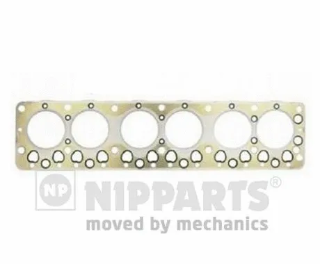 Gasket, cylinder head (J1251062)