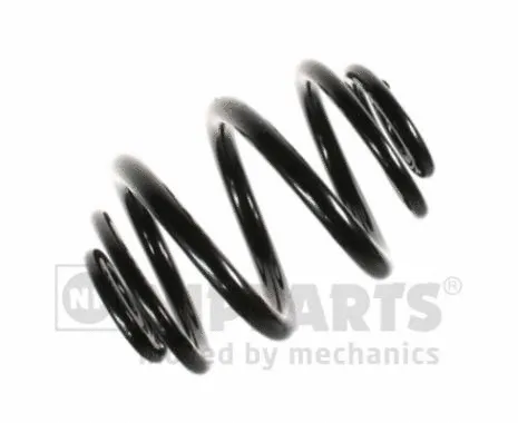 Suspension Spring (N5551017)