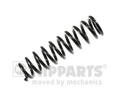 Suspension Spring (N5544003)
