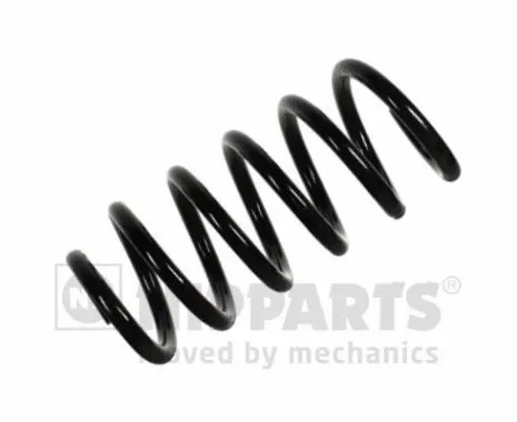 Suspension Spring (N5541132)