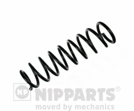 Suspension Spring (N5555053)