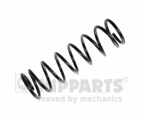 Suspension Spring (N5555072)