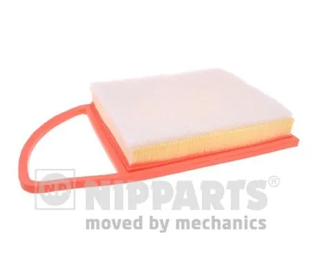 Air Filter (N1322123)