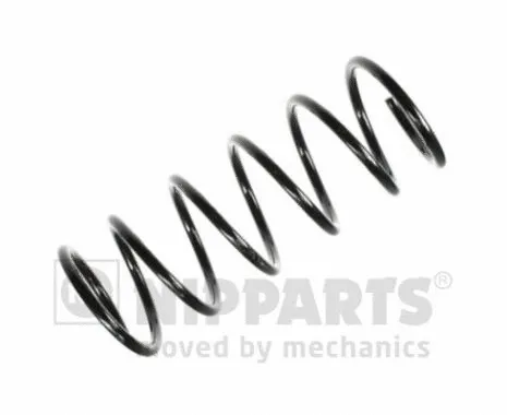 Suspension Spring (N5543007)