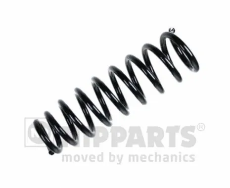 Suspension Spring (N5544099)