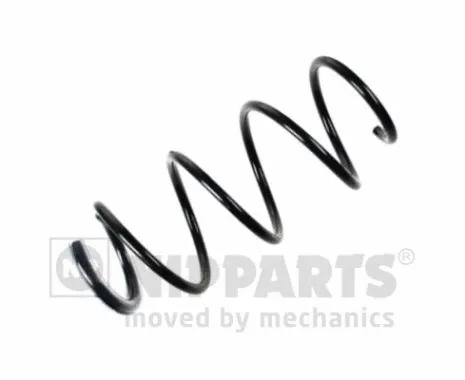 Suspension Spring (N5541087)