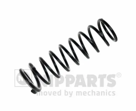Suspension Spring (N5553040)