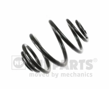 Suspension Spring (N5550933)